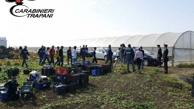 ​Insediamenti abusivi di lavoratori stagionali, 4 denunciati a Salemi