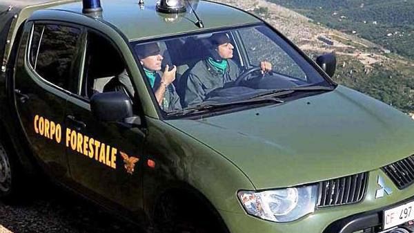 Il governo regionale sospende i lavoratori forestali per mancanza di fondi. Giovedì sit-in di Flai Cgil, Fai Cisl e Uila davanti la Prefettura di Trapani