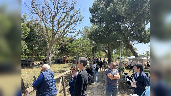 Trapani. Avviate bonifiche in ville comunali e parchi cittadini