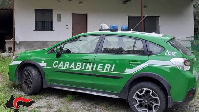 Valderice, maltrattamento e macellazione clandestina di ovini: denunciate 4 persone