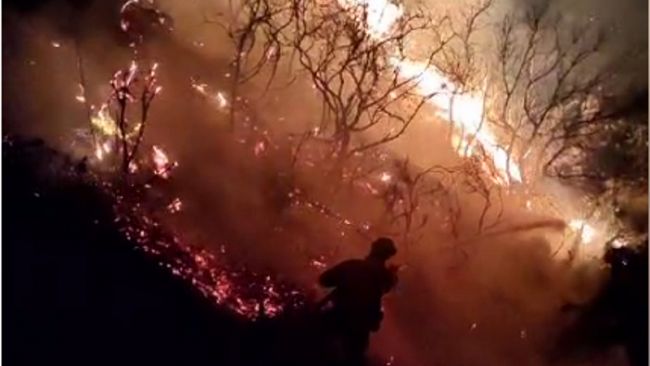 Incendio ad Erice: si contano i danni 