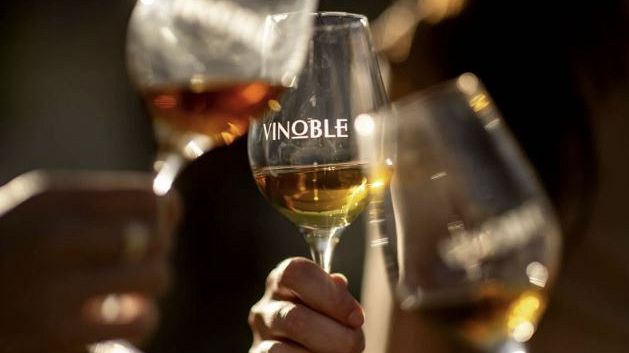 Il Marsala e l'IRVO volano a Jerez: il sogno UNESCO della Sun Belt diventa realtà