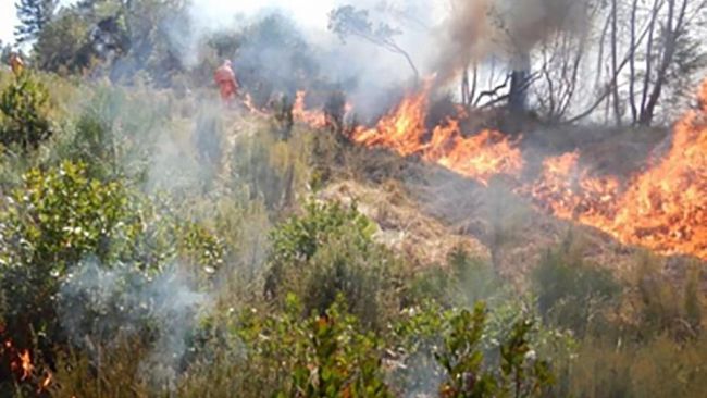 Obbligo di tenere puliti i terreni per prevenire gli incendi. Dal 15 giugno controlli sul territorio comunale di Marsala