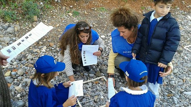 Al via alle Isole Egadi la nona edizione di “Delfini Guardiani”