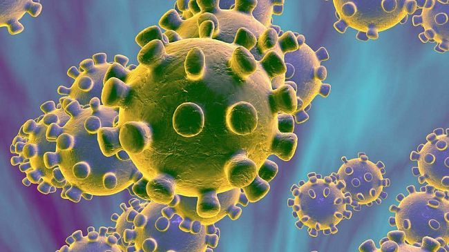 Coronavirus, i dati di oggi a Trapani e in provincia