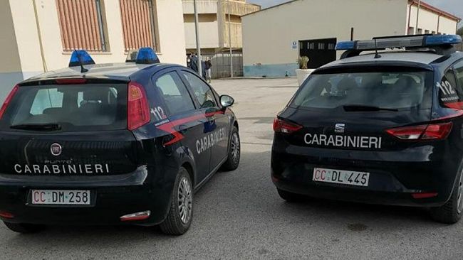 Mazara, Furto al Rifugio sanitario per cani. Assessore Norrito: “Rafforzare sicurezza e videosorveglianza”