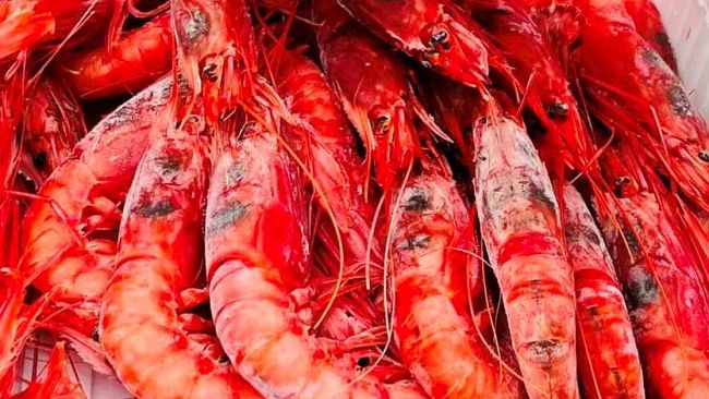 Mazara, Quote pesca gambero rosso e viola. Interrogativi e preoccupazioni nella marineria