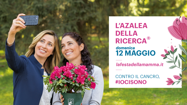 Per la festa della mamma torna nelle piazze l’azalea della ricerca di Airc
