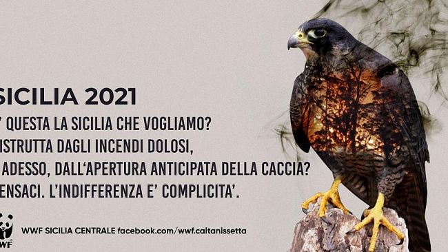 Caccia. Associazioni ambientaliste impugnano al TAR il calendario venatorio