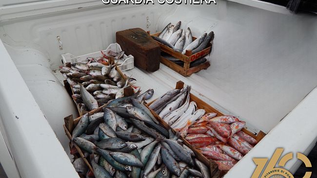 Guardia Costiera di Trapani, ​controlli in materia di pesca. Sequestrati 4 quintali di pesce