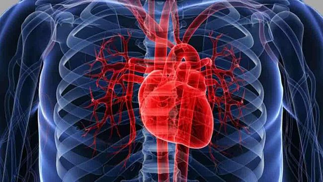 Marsala, prosegue l’azione di prevenzione cardiovascolare per gli studenti delle scuole superiori
