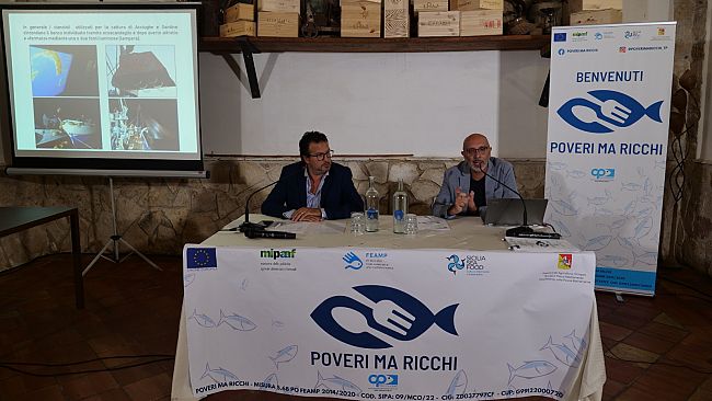 ​“Poveri ma ricchi”: la stagionalità del pesce dimenticato