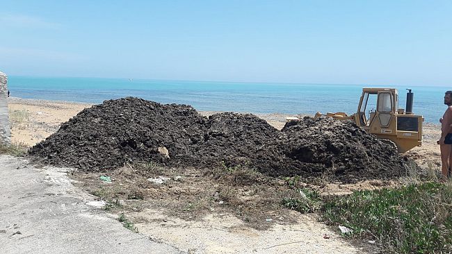 Confabitare Castelvetrano interviene sull’incresciosa vicenda delle alghe a Triscina