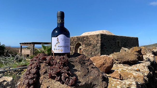Il “Passito della Solidarietà” a sostegno dei futuri protagonisti della viticoltura eroica di Pantelleria