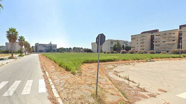 Domenica 17 novembre, a Trapani, l'iniziativa “Alberi per il futuro”, organizzata dal M5S