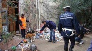 Mazara, agente della Polizia Municipale ferito da un cane in cattività