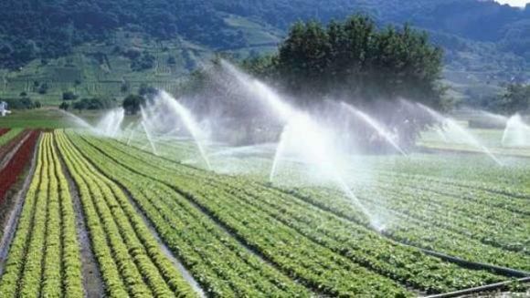 La Commissione Tributaria Regionale dà ragione agli agricoltori di Feder.Agri.-MCL  e torto al Consorzio di Bonifica Trapani 1