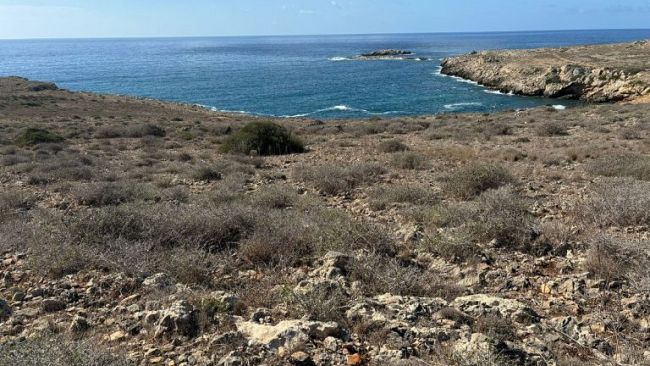  Favignana, contrada Stornello: interviene l'on.Ciminnisi (M5S)