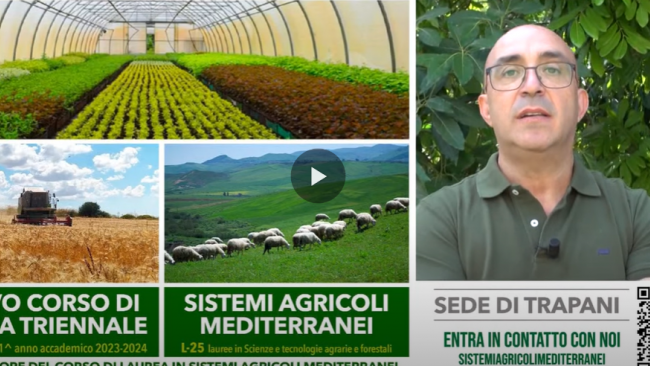 Climate change e agricoltura mediterranea: a Trapani, un corso di laurea UNIPA innovativo