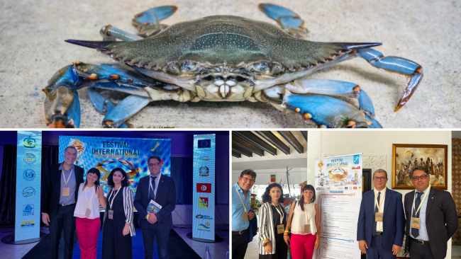 Il Distretto della Pesca in missione in Tunisia per il progetto Bleu Adapt