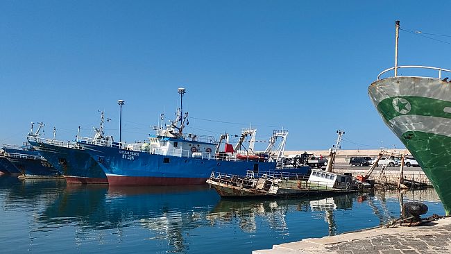 Pesca siciliana, la crisi non può più aspettare: le organizzazioni chiedono un intervento strutturale