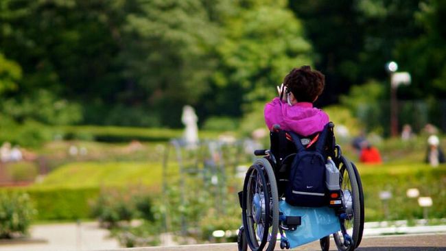 protocollo-dintesa-tra-lassociazione-progetto-per-il-dopo-di-noi-e-codici-per-la-tutela-dei-disabili-e-degli-utenti-svantaggiati