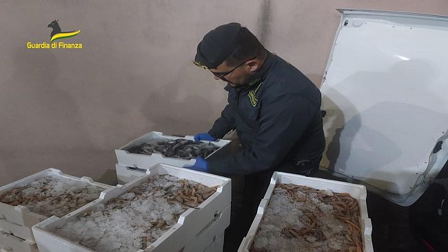 Palermo, la GdF sequestra circa 800 kg di pesce non tracciato 