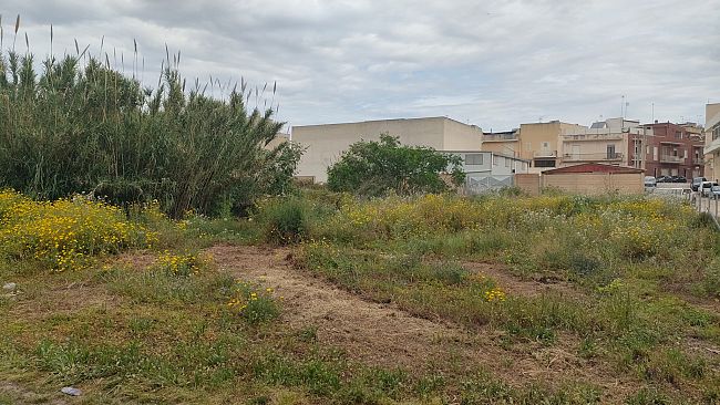 Mazara, degrado nella zona di via Casa Santa: le segnalazioni dei cittadini 