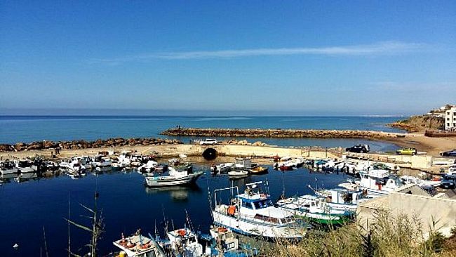 Lavori al Porto di Marinella di Selinunte : le alghe sono in fibrillazione!!