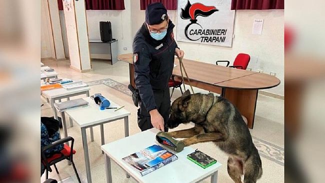 Partanna. Controlli antidroga nella scuola. Gli studenti passano l’esame