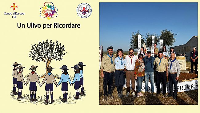 Mazara, si è tenuta la cerimonia “Un ulivo per ricordare” dedicata al Capo Scout Francesco Asaro