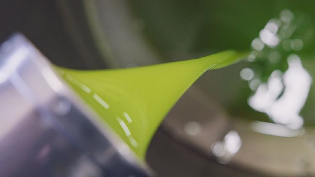 Salemi, mozione del consigliere Dario Verde per l'adesione all’associazione nazionale città dell’olio