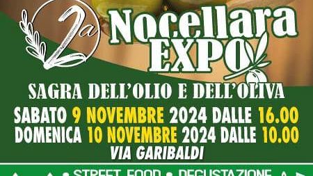 Al via la promozione della 2^ sagra dell'olio e dell'oliva Nocellara del Belice