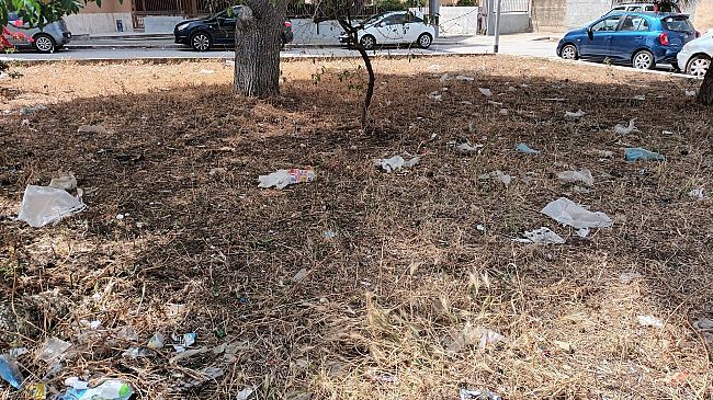 ​Erice, aiuola deturpata dai rifiuti in via Ravenna
