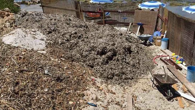 Mazara, sanzionato lido per aver utilizzato pala meccanica sulla spiaggia alla presenza di bagnanti