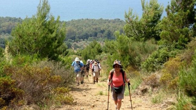Una passeggiata per vivere il Parco Archeologico di Selinunte