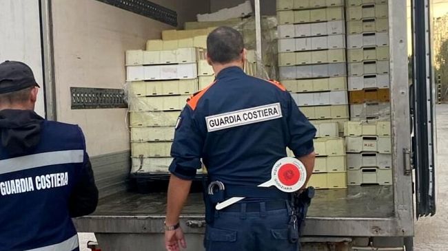 Sequestrati 800 chili di pesce non tracciato e scaduto. Sanzionati 10 commercianti del trapanese