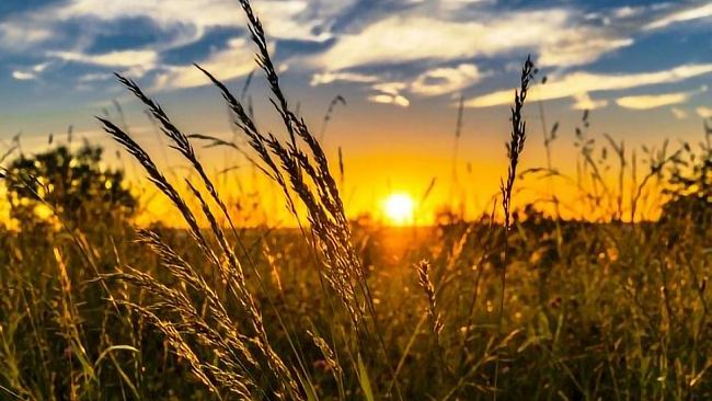 Ultime della sera: “Il solstizio d’estate”