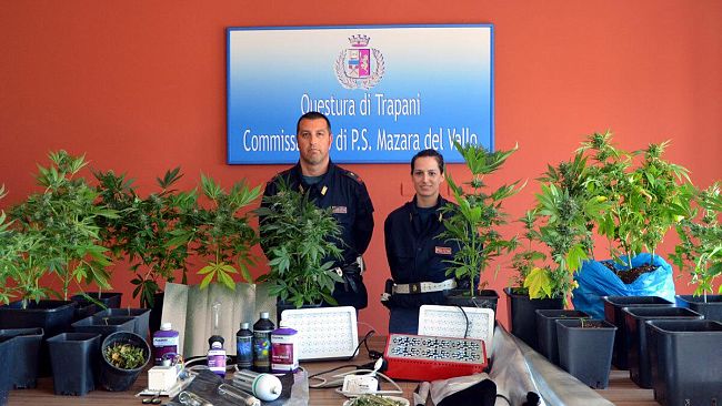 Mazara: Arresto in flagranza di un cittadino mazarese per coltivazione e produzione di sostanza stupefacente del tipo marijuana.