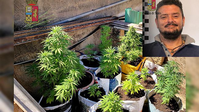 Mazara, la polizia arresta in flagranza un 40enne mazarese per coltivazione e detenzione, ai fini di spaccio, marijuana.