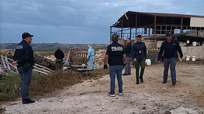 Agrigento: la Polizia di Stato esegue controlli nei confronti di aziende agricole ed allevamenti operanti sul territorio