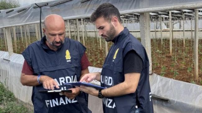 Petrosino e Marsala. Scoperti 15 lavoratori in nero e 4 irregolari nel settore agricolo  