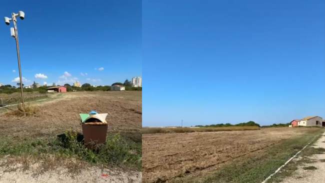 Parco Archeologico di Marsala: la direttrice risponde alla deputata regionale Ciminnisi