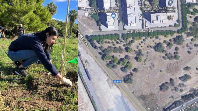 ​Verde pubblico a Trapani. Ciminnisi (M5S) scrive al sindaco e chiede la manutenzione del “Boschetto di via Salemi”