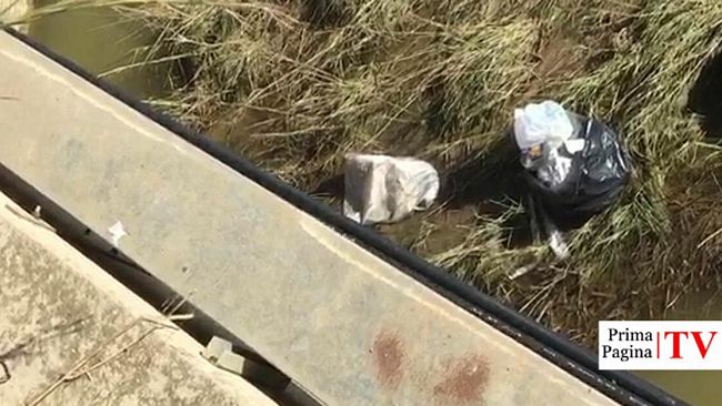 VIDEO – Mazara, cane abbandonato in un sacco nel fiume Mazaro…Criminali!