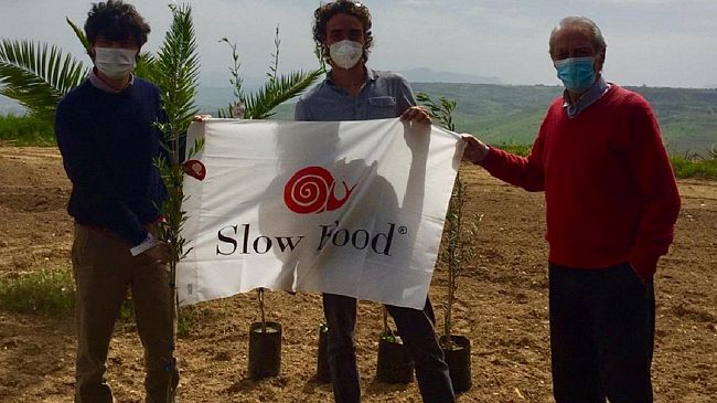 Slow Food 