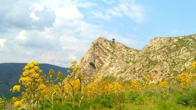 Viaggio nella Natura del Belice promosso dalla Rete Museale e Naturale belicina