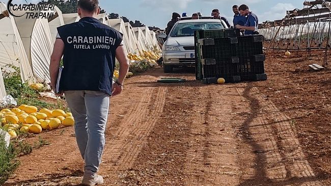 Contrasto al caporalato tra Marsala e Petrosino, denunciati due imprenditori agricoli