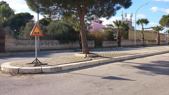 Petizione su change.org: “No cemento ma alberi adeguati in via mons. C. Trapani”
