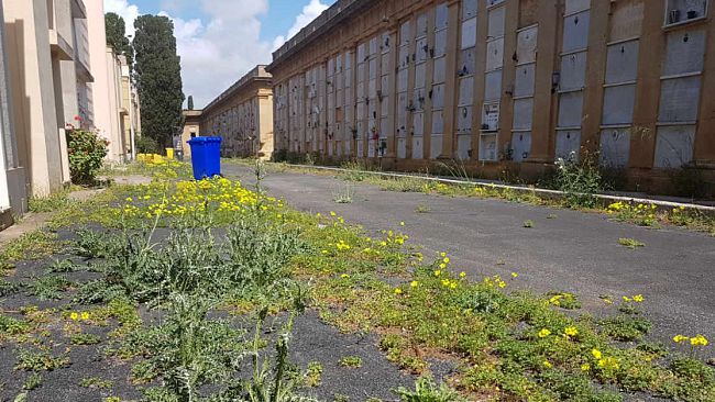 Sperimentata soluzione “green” per strade del cimitero comunale